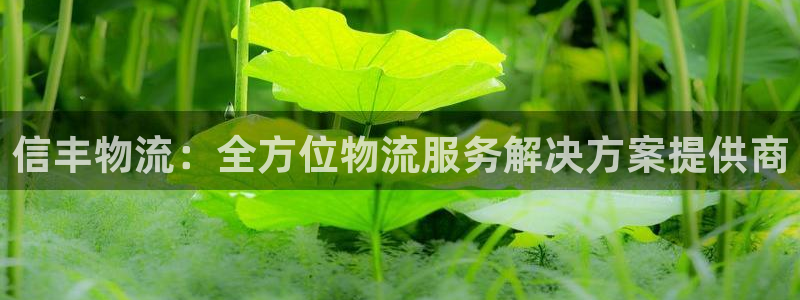 28圈APP是干什么的
