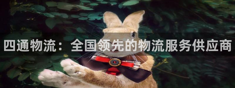 28圈注册入口与教程