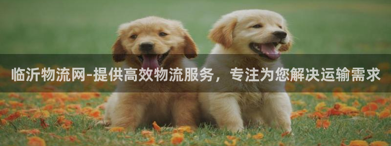 28圈技巧