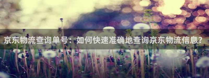 28圈是南宫旗下的吗