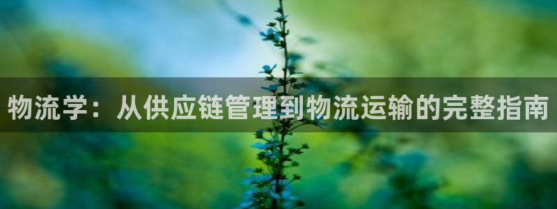 28圈二维码