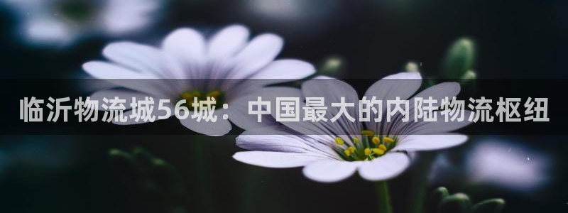 28圈怎么注册账号