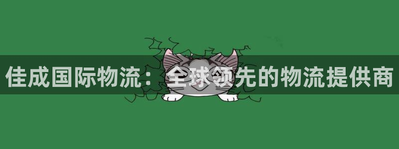 28圈下载不了