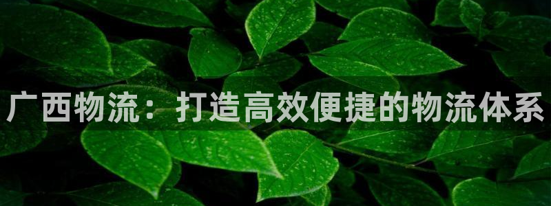 28圈初始资金密码是什么