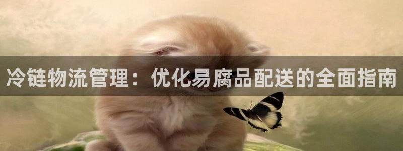 28圈加拿大在线预测