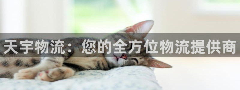 28圈预测加拿大师准