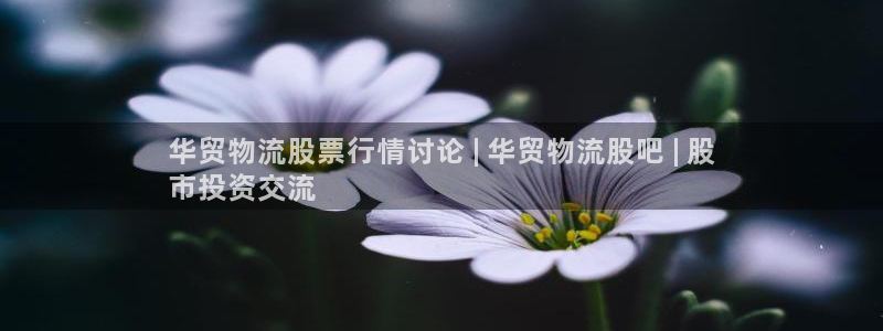 28圈开奖预测
