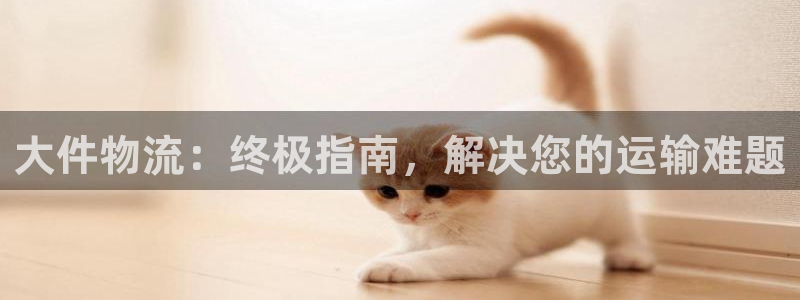 28圈模拟器在线使用