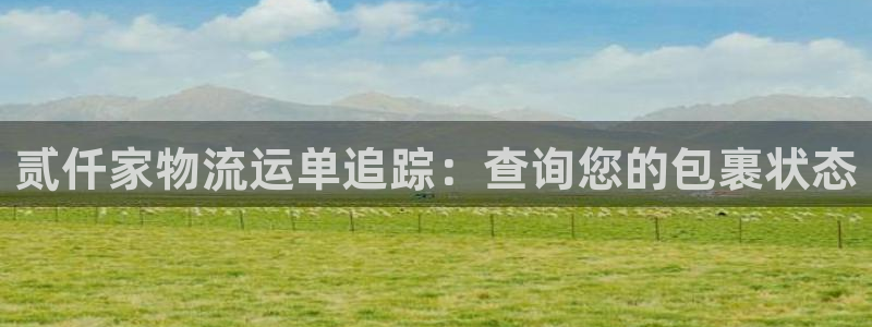 28圈官网开奖结果预测查询