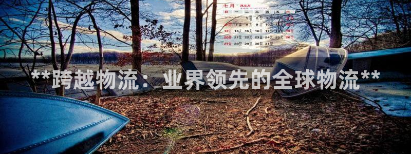 加拿大28圈数字规则