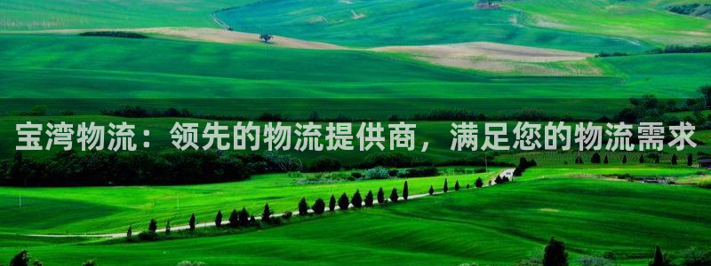 28圈在线预测