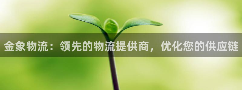 28圈旗下