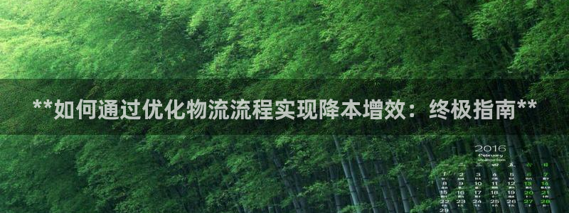 28圈开奖预测