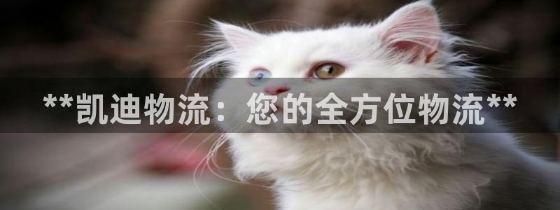 28圈注册入口与教程