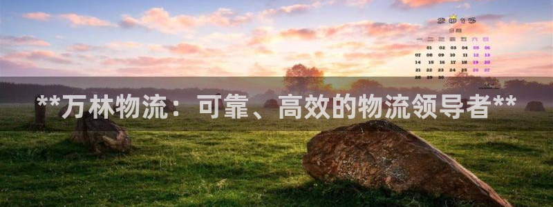 28圈pg麻将胡了