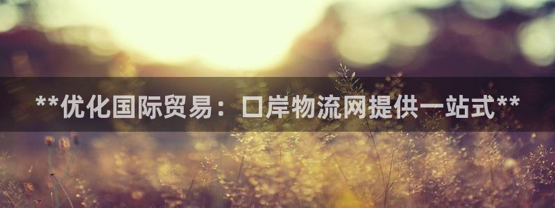 28圈充值不到账