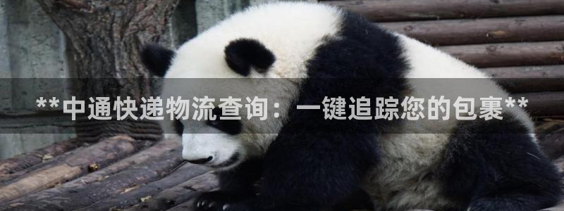 28圈模拟器