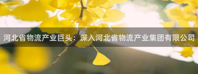 28圈黑不黑