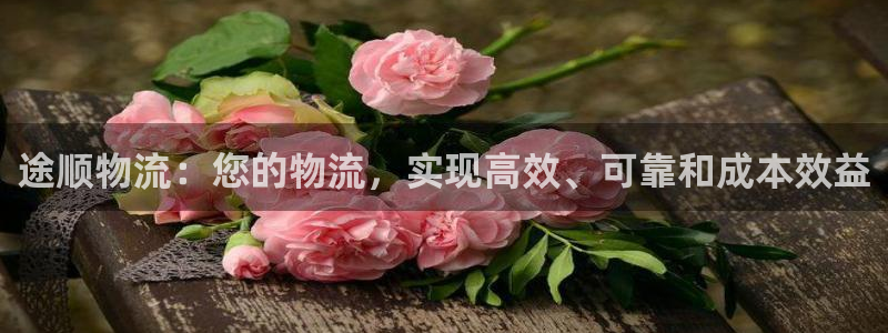 28圈可以退款吗