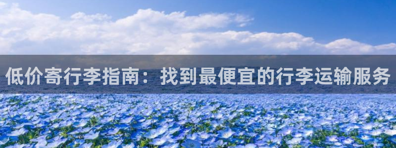 28圈预测加拿大师准