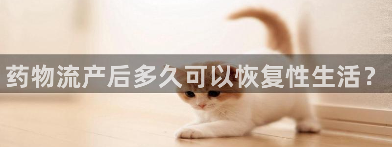 28圈游戏链接
