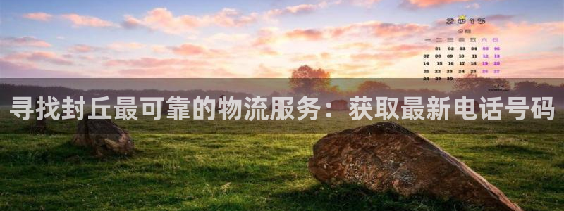 28圈大神预测