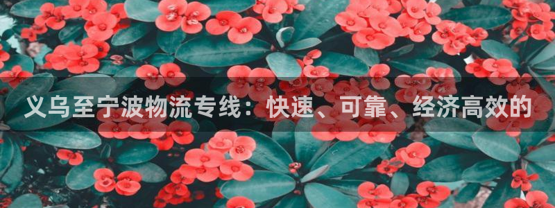 28圈aPP退款