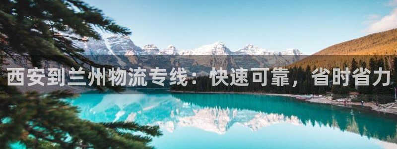 28圈ccm官网版