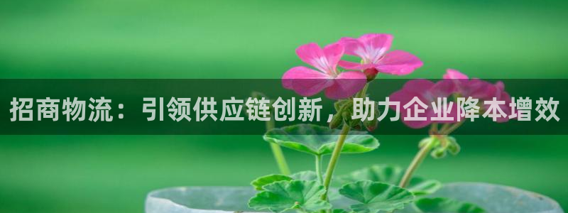 28圈圈助手