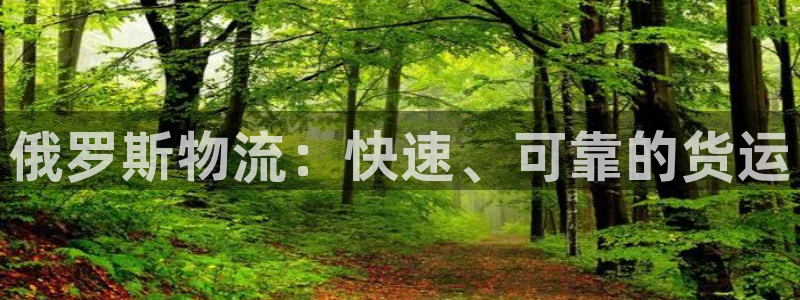 28圈软件总是闪退怎么回事