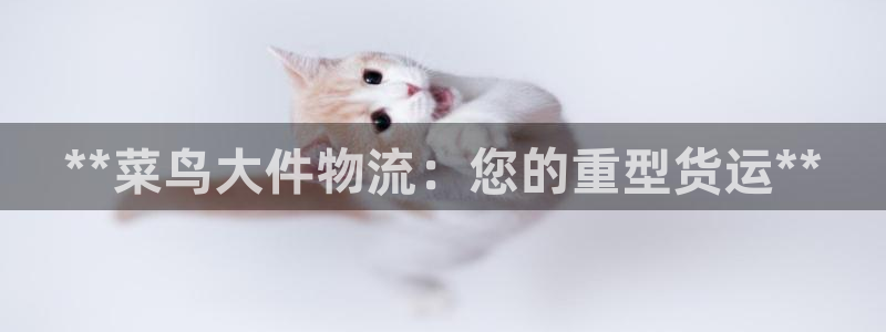 自行车28圈是什么意思