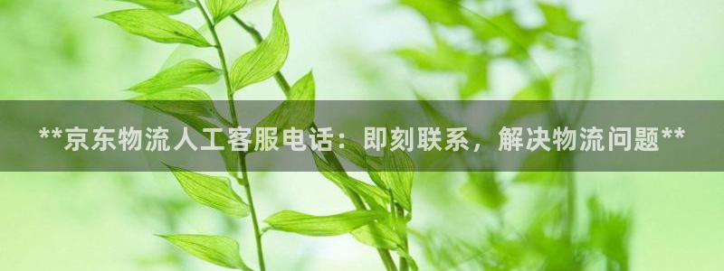 28圈官网多少