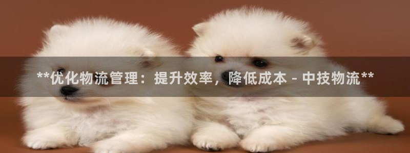 28圈正规吗?