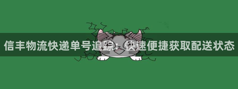 28圈模拟器下载