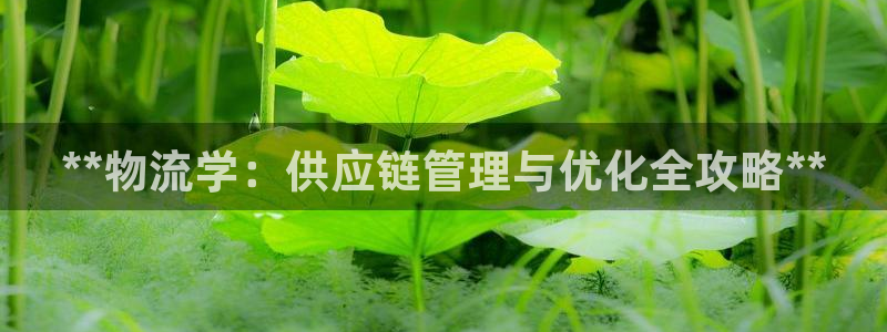 28圈技巧