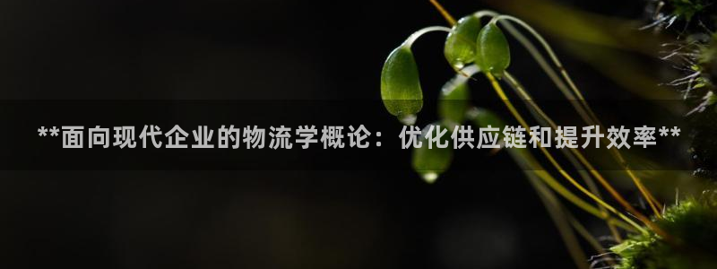28圈加拿大是什么意思