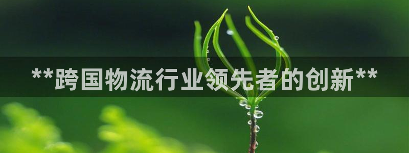 28圈怎么下载不了