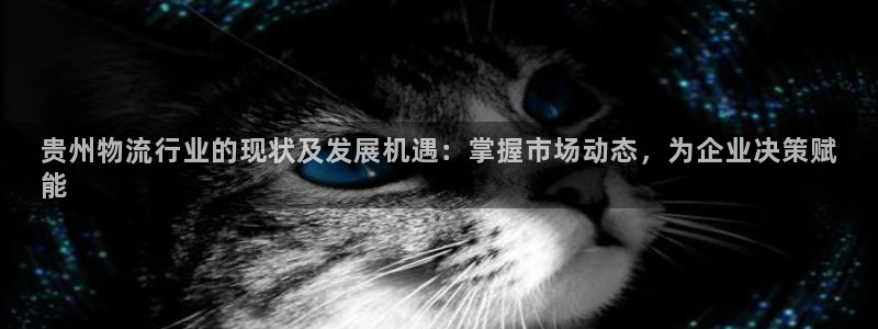 28圈初始资金密码是什么