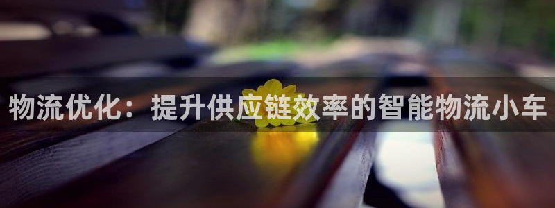 28圈旗下