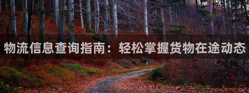 28圈入口问一问