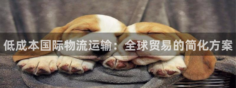28圈下载不了