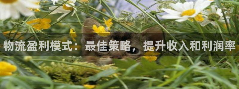 28圈激活码