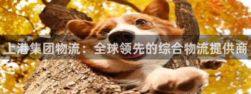 28圈官方网站预测