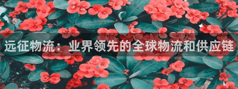 28圈麻将胡了