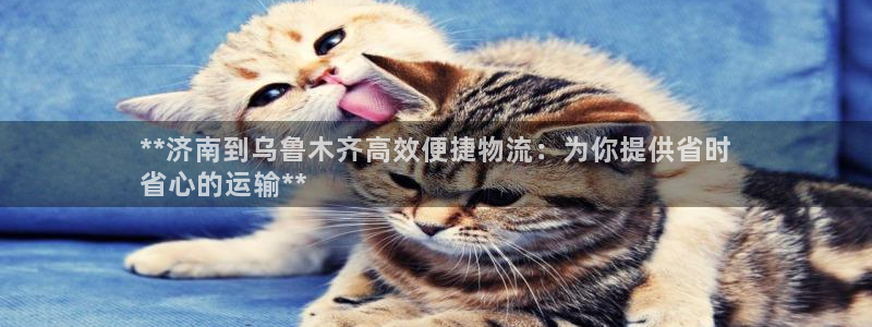 28圈加拿大走势