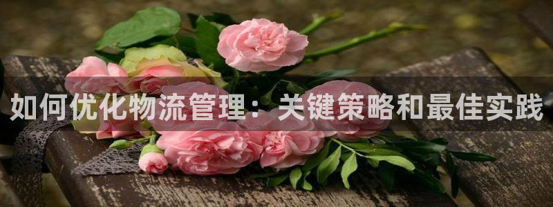 28圈充值方式