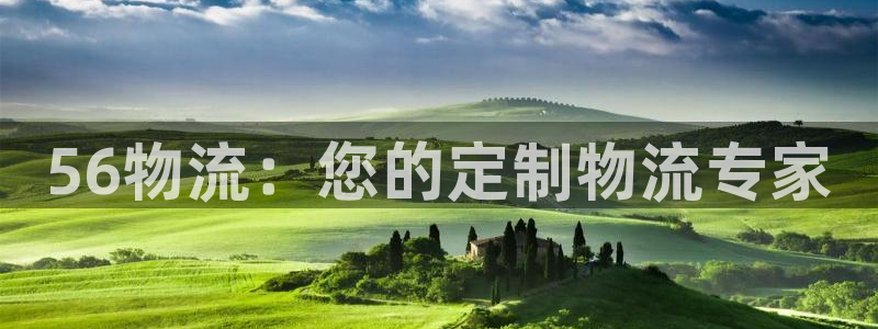 28圈的平台