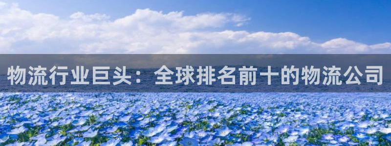 28圈app官网少林足球