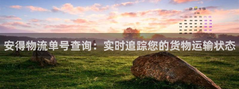 28圈退款