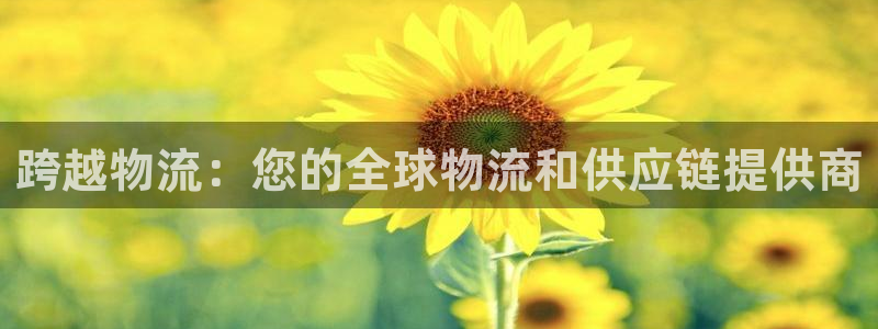 28圈预测加拿大师准